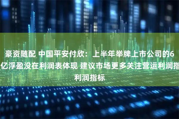 豪资随配 中国平安付欣：上半年举牌上市公司的600亿浮盈没在利润表体现 建议市场更多关注营运利润指标