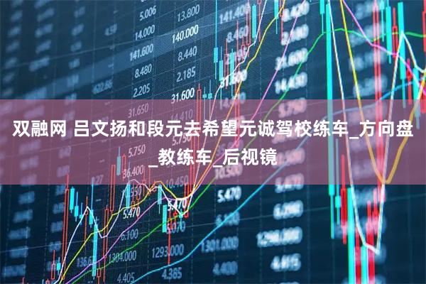 双融网 吕文扬和段元去希望元诚驾校练车_方向盘_教练车_后视镜