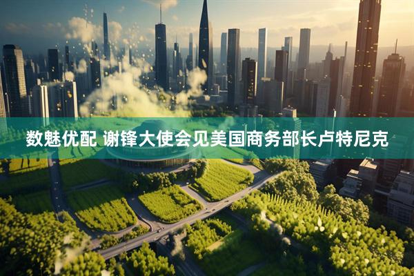 数魅优配 谢锋大使会见美国商务部长卢特尼克